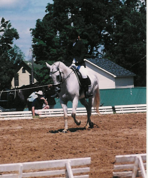 hddressage.jpg